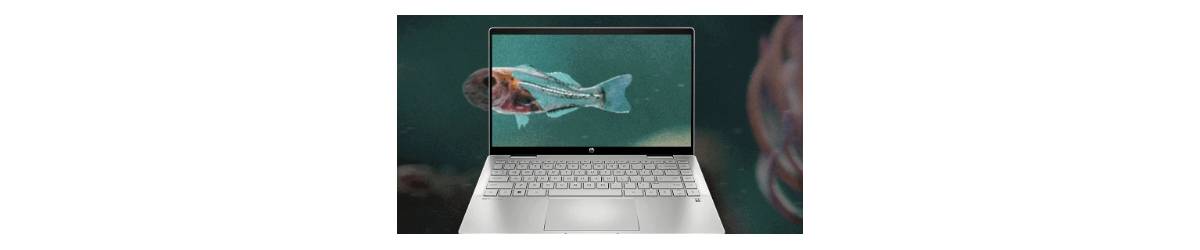 Hp Pavilion X Ek Tu Natural Silver