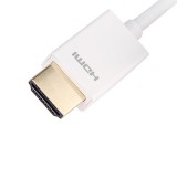 Prolink Adapter HDMI-A to DVI-D (Single Link 18+1) Cable / 2m (MP269)