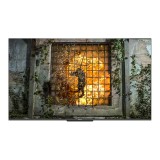 Panasonic TV TH-65HX750T