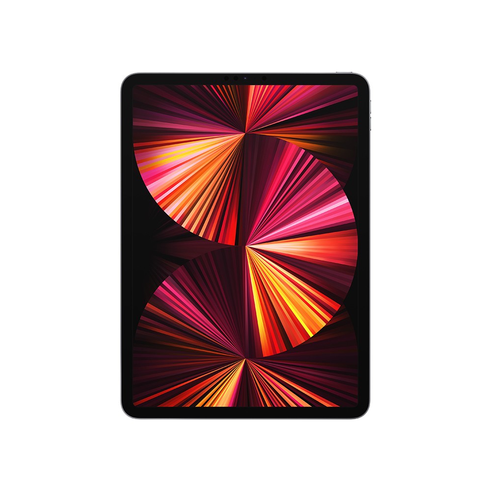 iPad Pro 11-inch Wi-Fi 256GB Space Gray 2021 (3rd Gen)