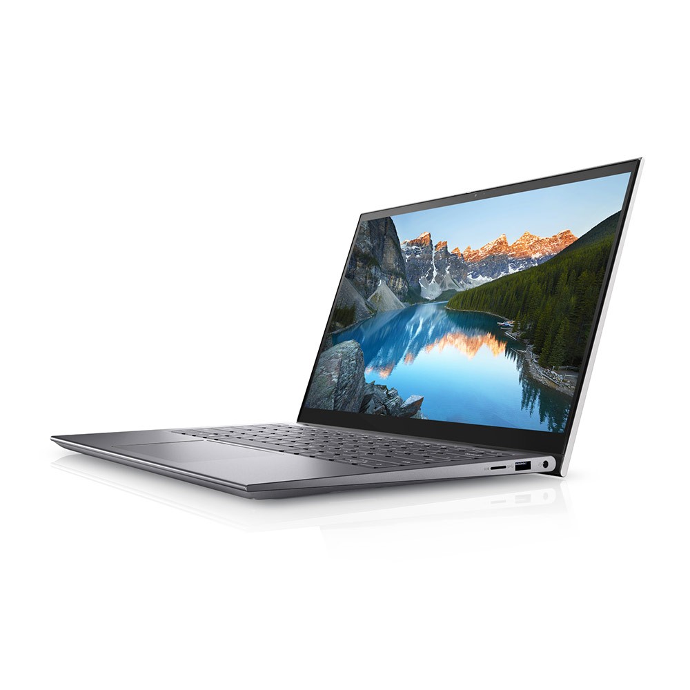 Dell Notebook Inspiron 5410-W566214327THW10 Platinum Silver