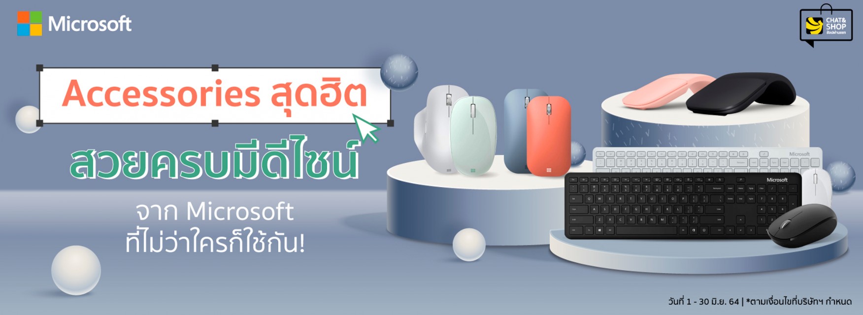 Microsoft Accessories