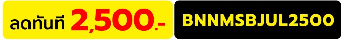 Microsoft Brand Fair Dis 2500.-
