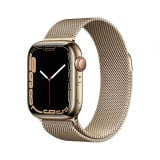 Apple Watch Series 7 Gold Stainless Steel Case  