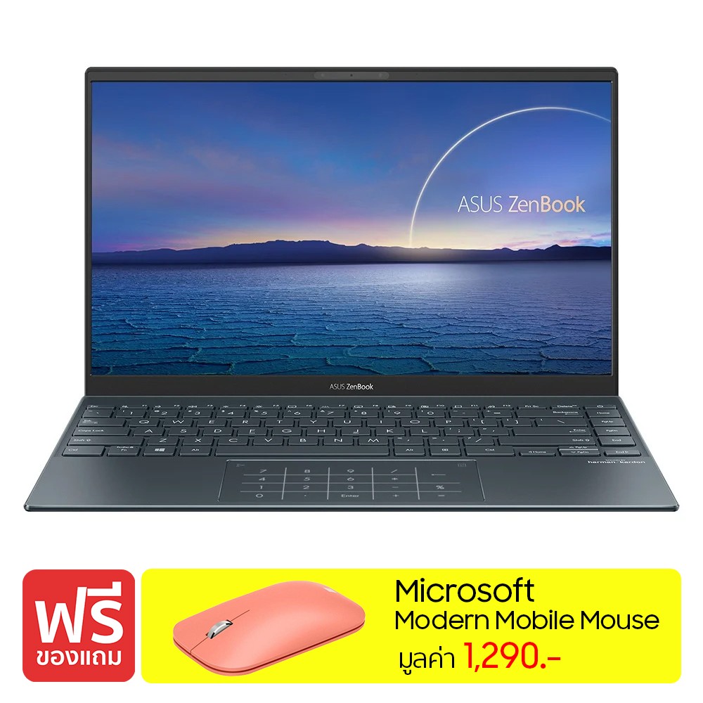 Asus Notebook ZenBook UX425EA-KI501TS Grey
