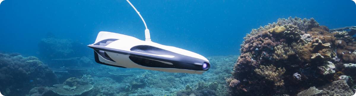 Powerray underwater online drone