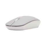 เมาส์ไร้สาย Anitech Wireless Mouse (W231) Gray