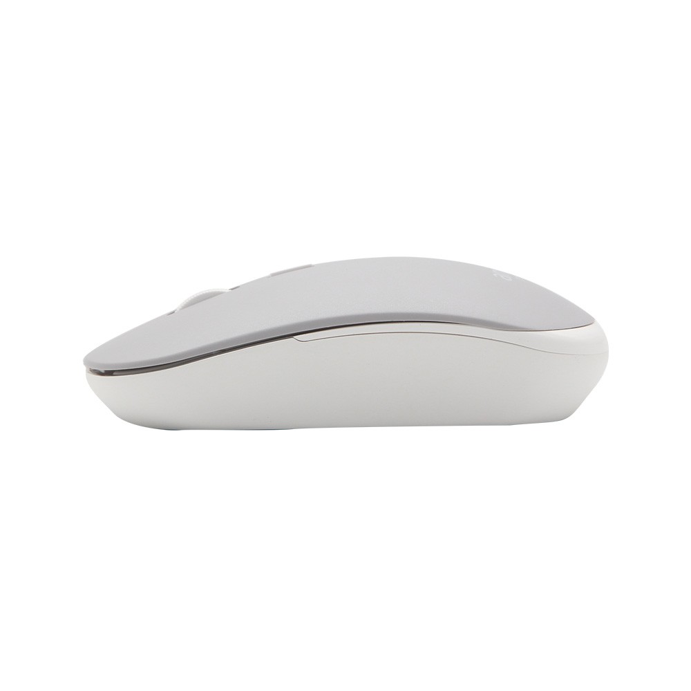 เมาส์ไร้สาย Anitech Wireless Mouse (W231) Gray