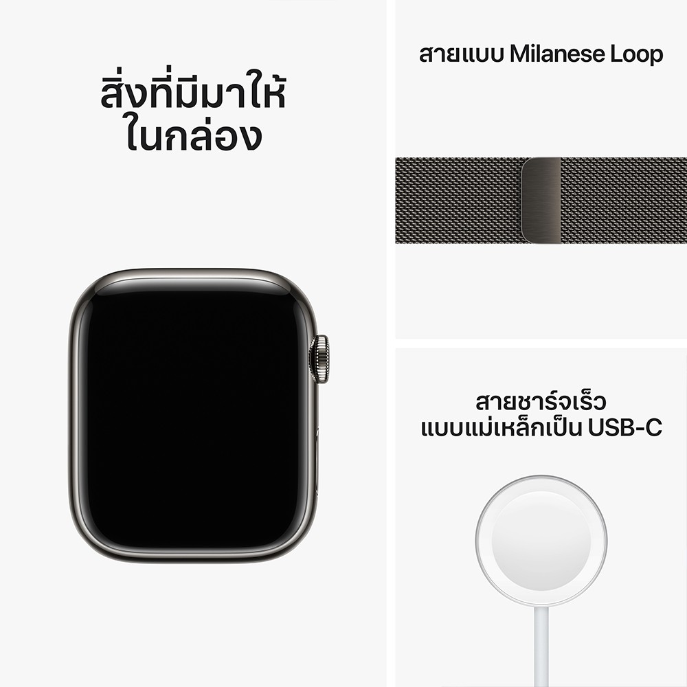 apple milanese loop graphite