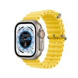 Apple Watch Ultra (49mm) Titanium Case with Ocean Band