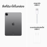 Apple iPad Pro 11-inch Wi-Fi 2TB Space Gray 2022 (4th Gen)