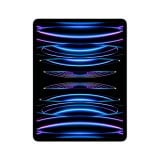 Apple iPad Pro Wi-Fi + Cellular 12.9-inch 2022 (6th Gen)