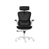 เก้าอี้เพื่อสุขภาพ Ergo Pixel Ergonomic Chair Virtuoso Solida
