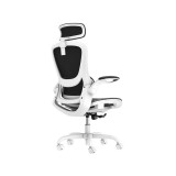 เก้าอี้เพื่อสุขภาพ Ergo Pixel Ergonomic Chair Virtuoso Solida White