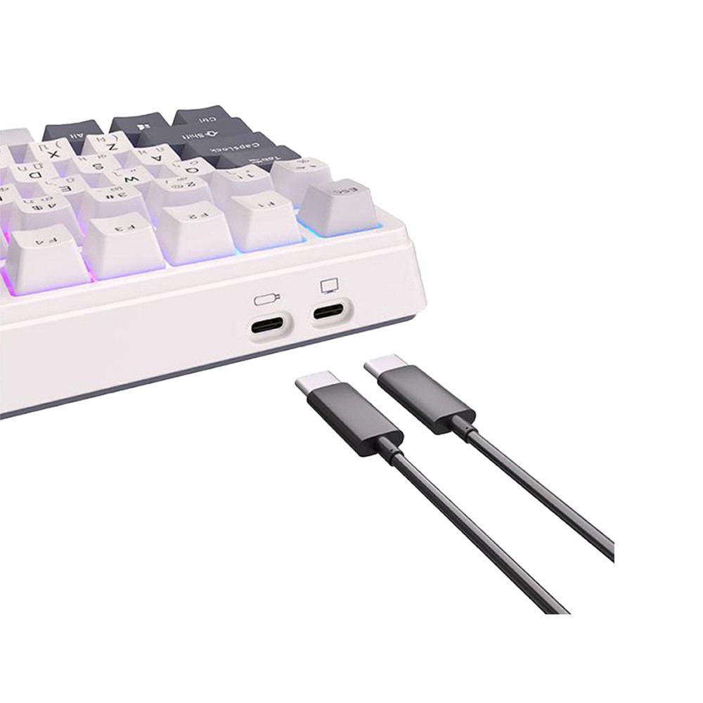 คีย์บอร์ดเกมมิ่ง Royal Kludge Gaming Keyboard RKH81 Wireless White Night (Blue Switch)