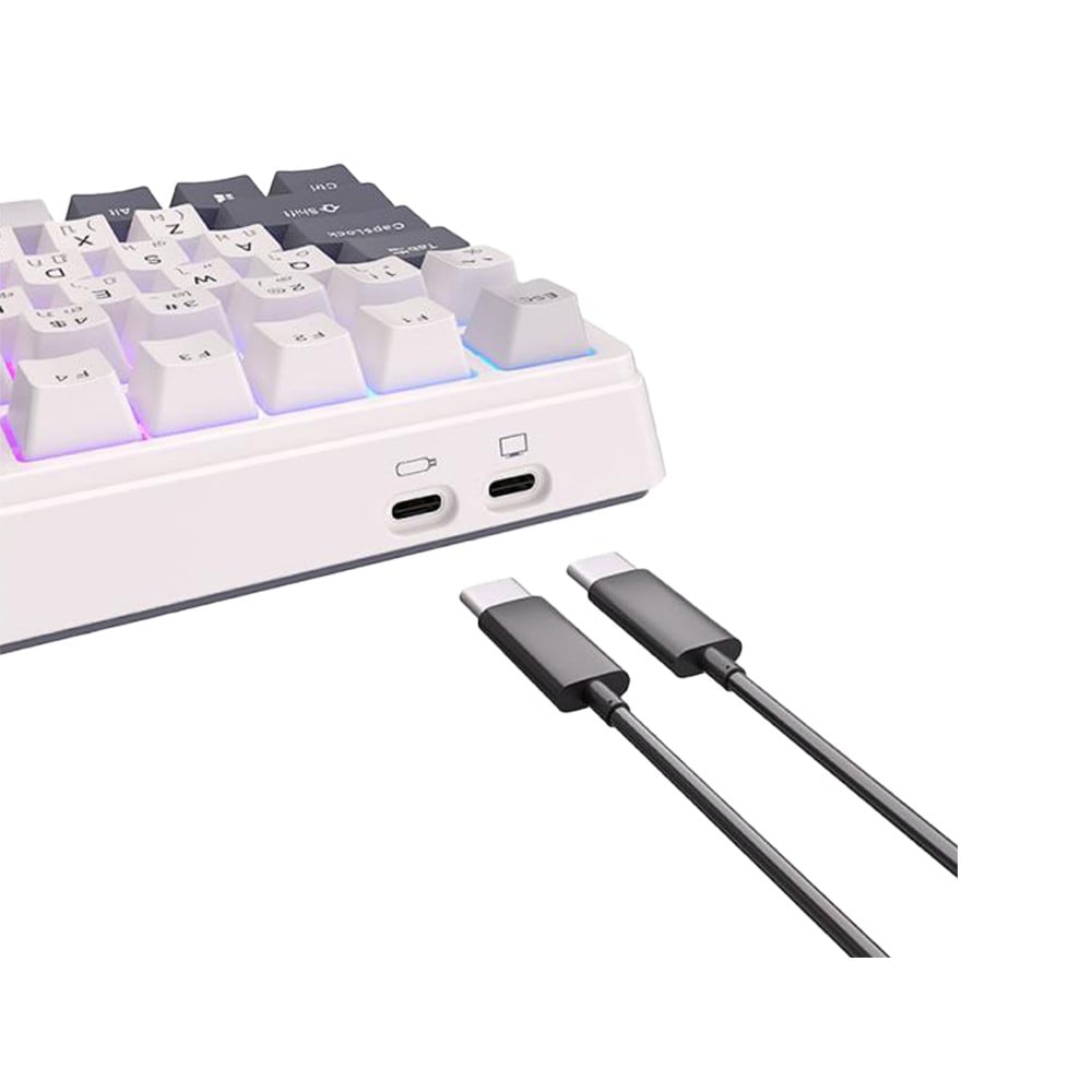 คีย์บอร์ดเกมมิ่ง Royal Kludge Gaming Keyboard RKH81 Wireless White Night (Brown Switch)
