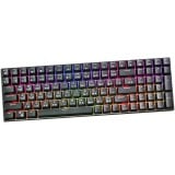 คีย์บอร์ดเกมมิ่ง Royal Kludge RK100 Hot Swappable RGB Backlight Black (Brown Switch)