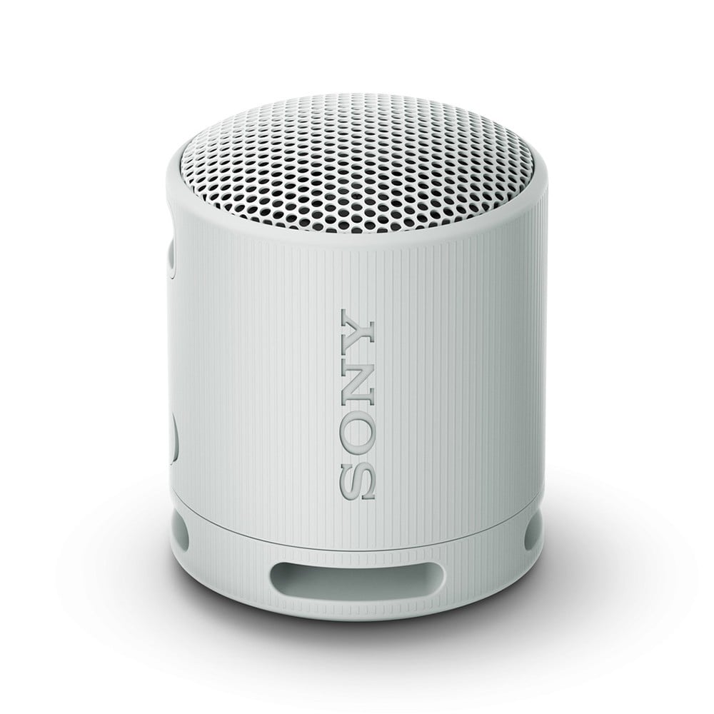 ลำโพง Sony SRS-XB100 Gray