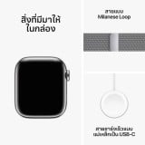 Apple Watch Series 9 GPS + Cellular 41mm Silver Stainless Steel Case with Silver Milanese Loop