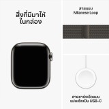 Apple Watch Series 9 GPS + Cellular 41mm Graphite Stainless Steel Case with Graphite Milanese Loop