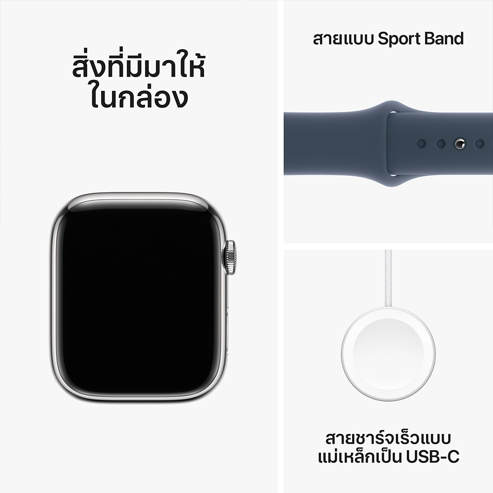 Apple Watch Series 9 GPS + Cellular 41mm Silver Stainless Steel Case with Storm Blue Sport Band - S/M