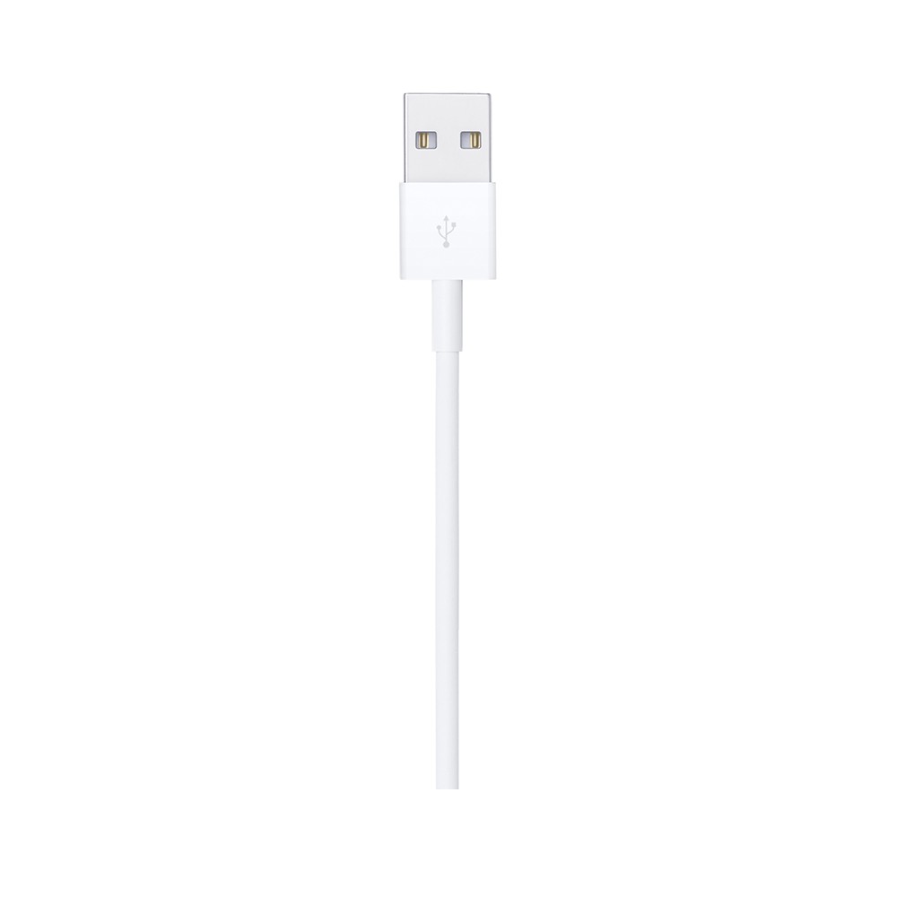 Apple Lightning to USB Cable (1m)