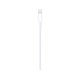 Apple Lightning to USB Cable (1m)