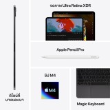 Apple iPad Pro 13-inch Wi-Fi 256GB with Standard glass - Silver (7th Gen)