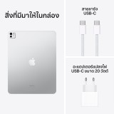 Apple iPad Pro 13-inch Wi-Fi 256GB with Standard glass - Silver (7th Gen)