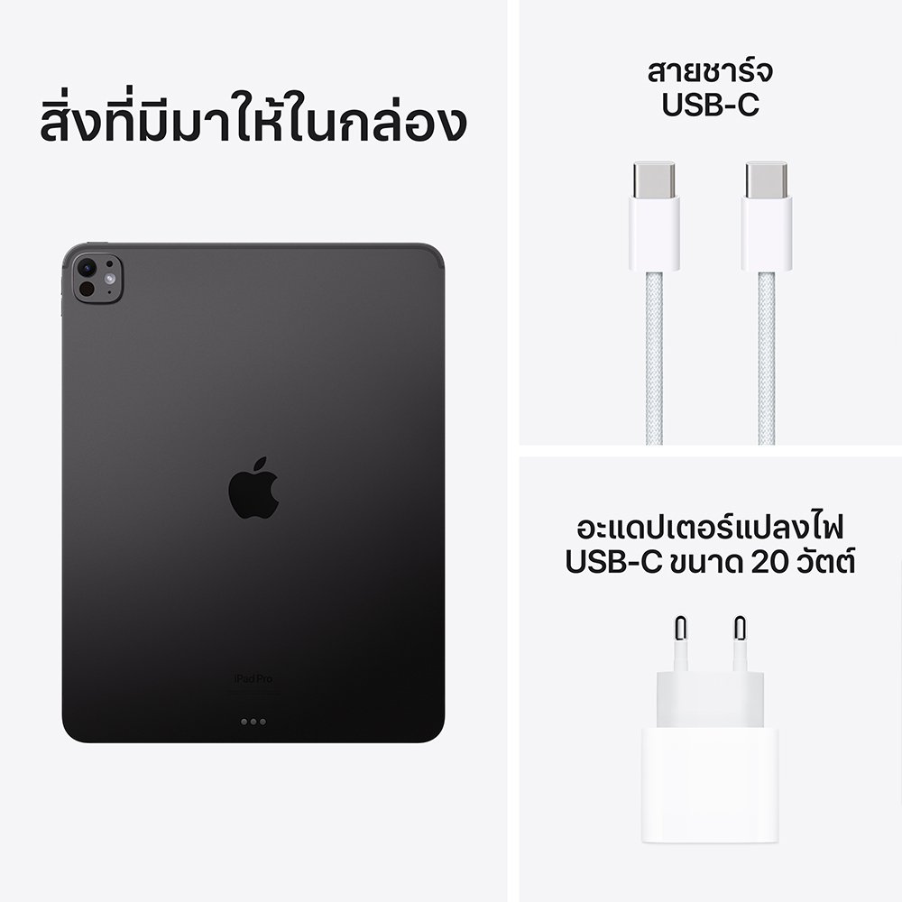 Apple iPad Pro 13-inch Wi-Fi 256GB with Standard glass - Space