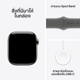 Apple Watch Series 10 GPS + Cellular 42mm Natural Titanium Case with Stone Gray Sport Band - M/L