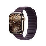 Apple Watch 42mm Blackberry Magnetic Link - M/L