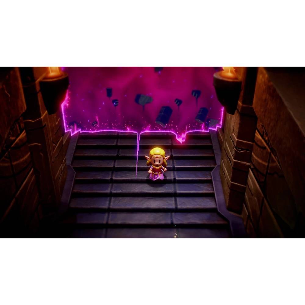 แผ่นเกม Nintendo Switch : The Legend of Zelda: Echoes of Wisdom