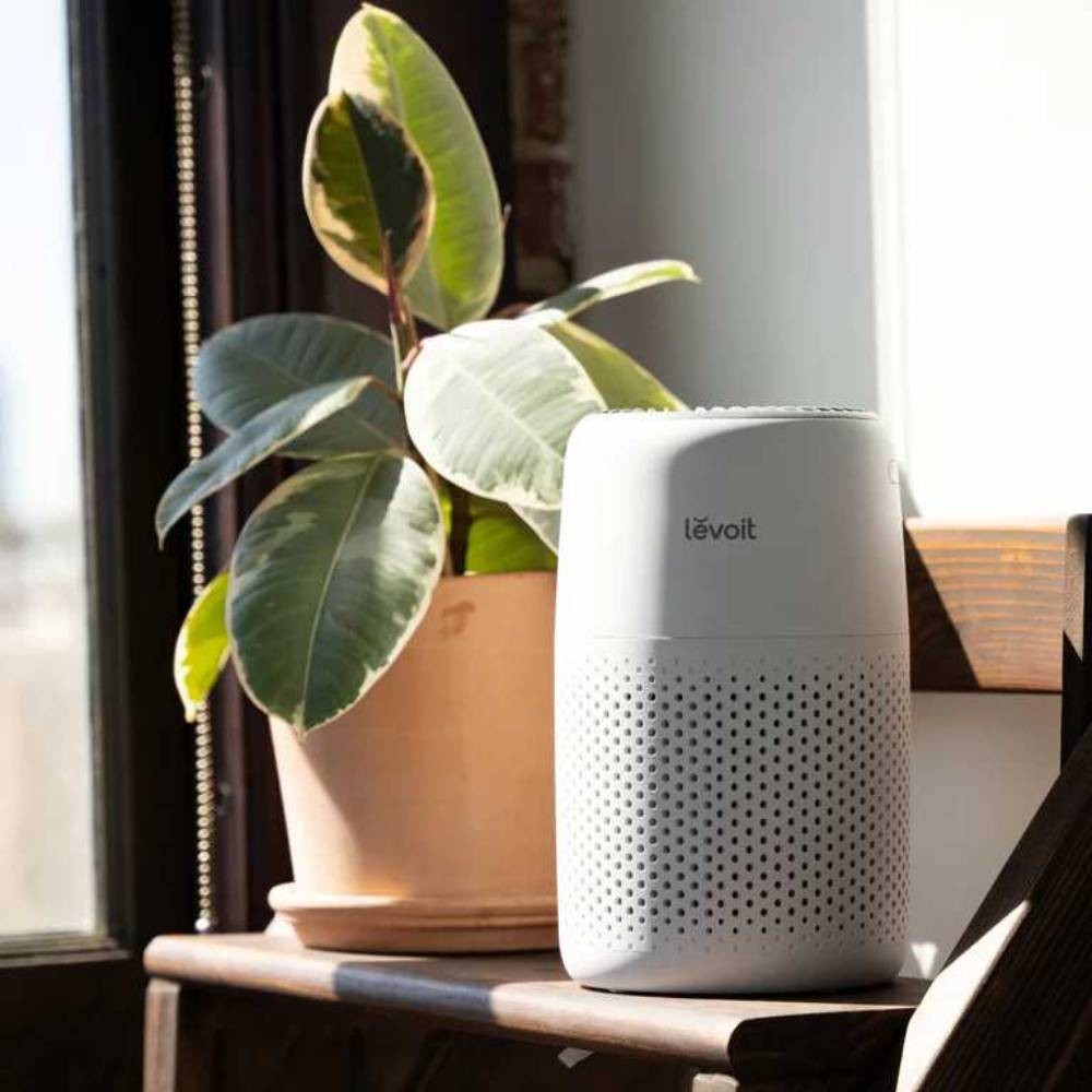 เครื่องฟอกอากาศ Levoit Core Mini