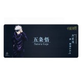 แผ่นรองเมาส์ EGA Gaming Mouse Mat STR-MM1 SATORU 90x40 cm.