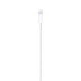 Apple Lightning to USB Cable (2 m)