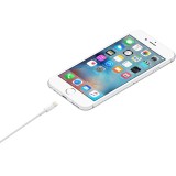 Apple Lightning to USB Cable (2 m)