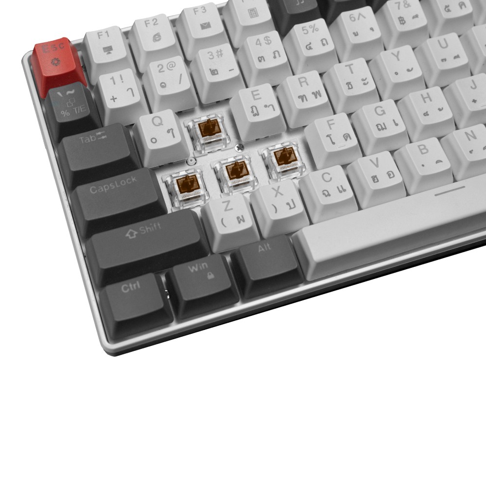 คีย์บอร์ดเกมมิ่ง SIGNO E-Sport Mechanical MOBILUS KB-723 White - Brown Switch