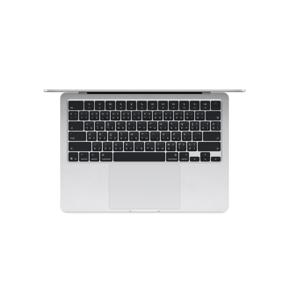 Apple MacBook Air 13 : M4 chip 10C CPU/10C GPU/24GB/512GB Silver (2025)