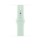 Apple Watch 42mm Aquamarine Sport Band - M/L