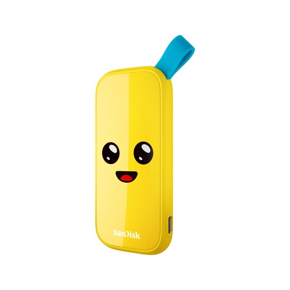 ฮาร์ดดิสก์ SanDisk SSD External Portable 2TB Fornite