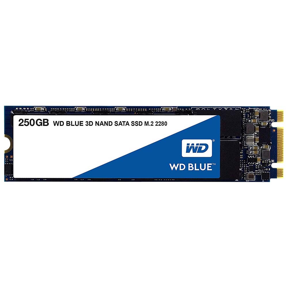 WD SSD 250GB M.2 R560MB/s W530MB/s SATA 3D Blue 5Year