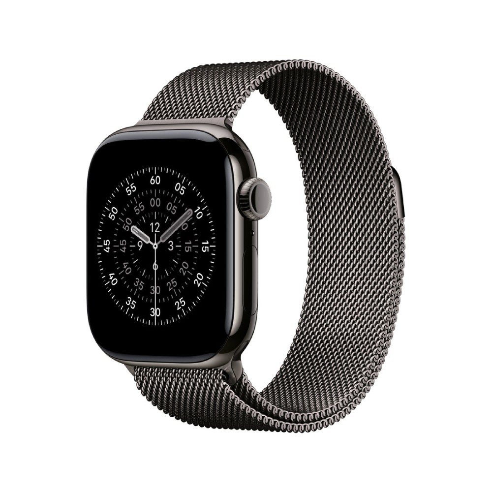 Apple Watch 40mm Slate Milanese Loop