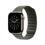 Apple Watch 42mm Sage Gray Magnetic Link - M/L