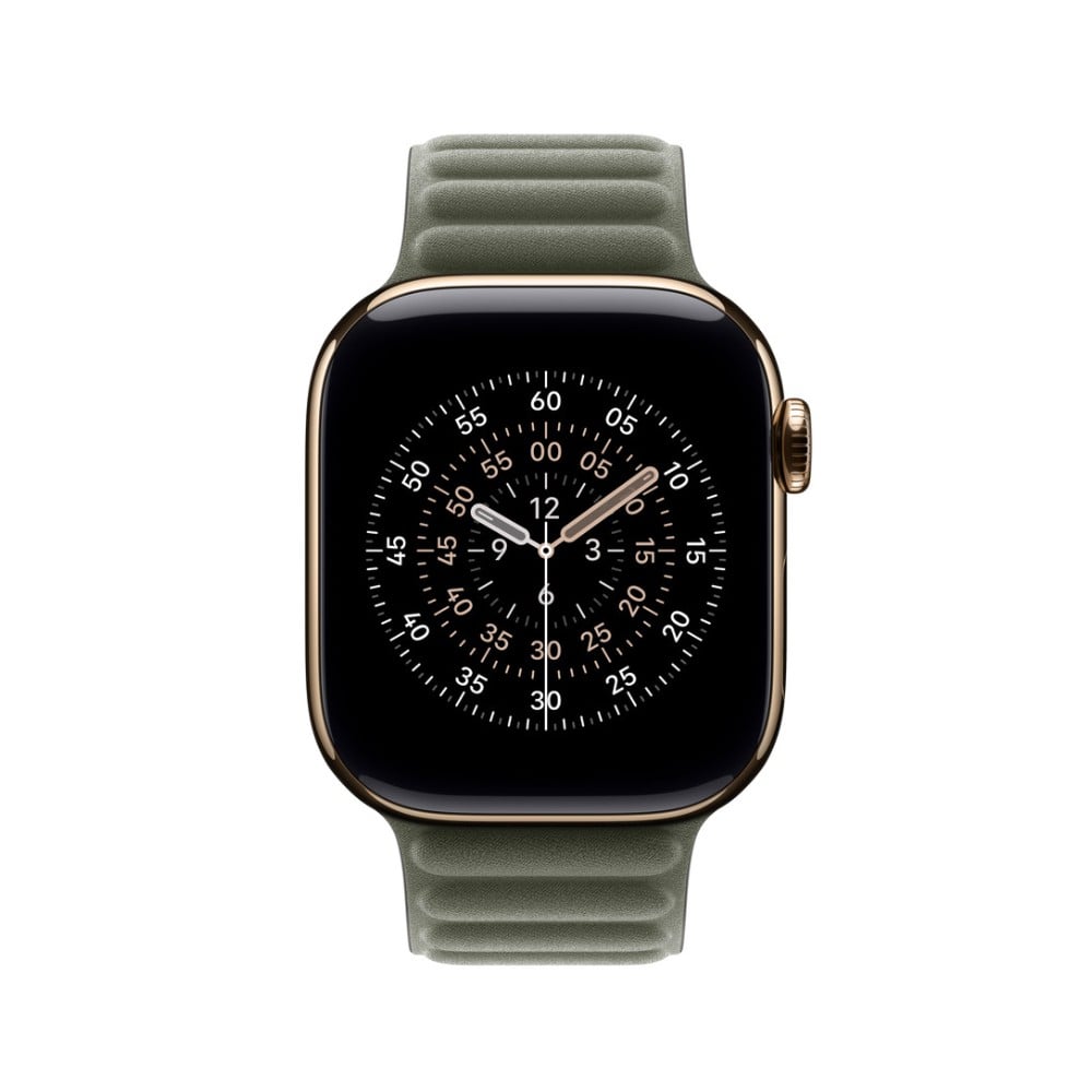 Apple Watch 42mm Sage Gray Magnetic Link - M/L