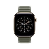 Apple Watch 42mm Sage Gray Magnetic Link - M/L