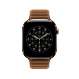 Apple Watch 46mm Caramel Magnetic Link - M/L