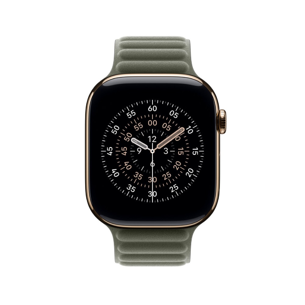 Apple Watch 46mm Sage Gray Magnetic Link - S/M
