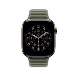 Apple Watch 46mm Sage Gray Magnetic Link - S/M