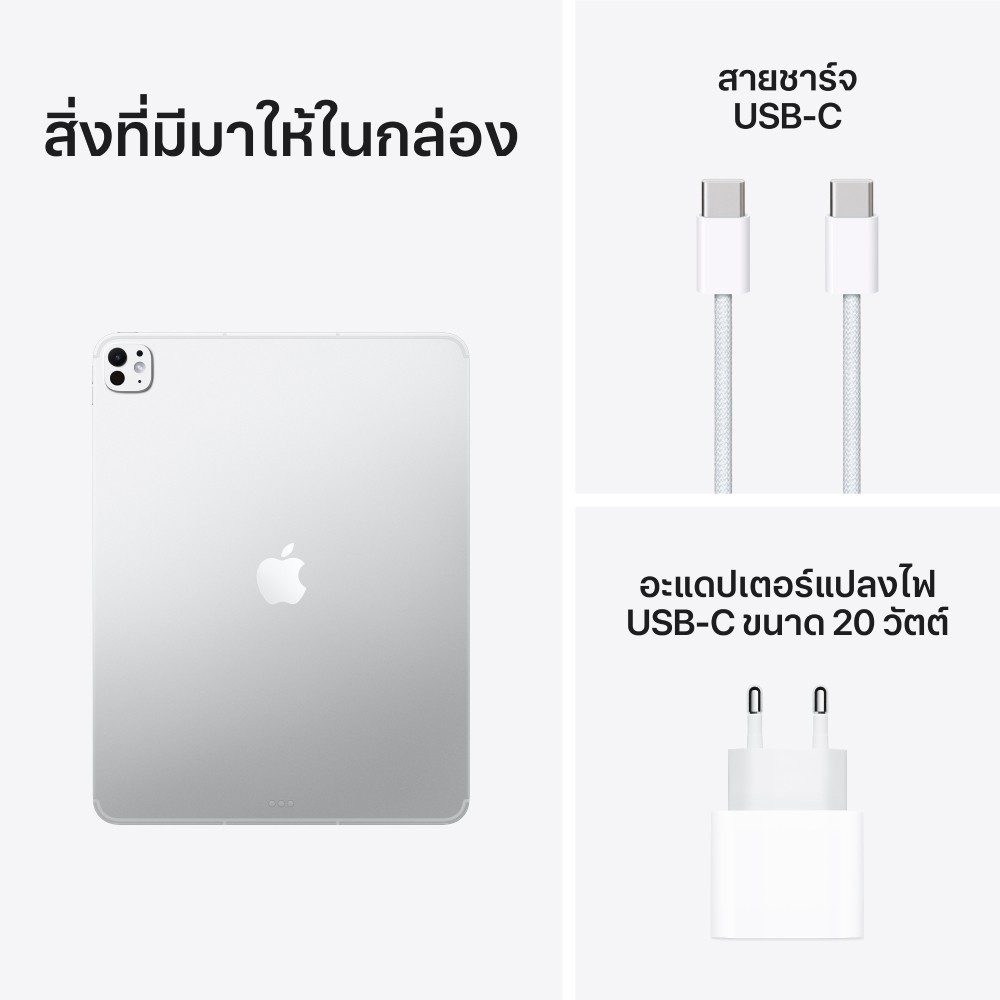 Apple iPad Pro 13 : M5 Wi-Fi + Cellular 256GB with Standard glass - Silver (2025)